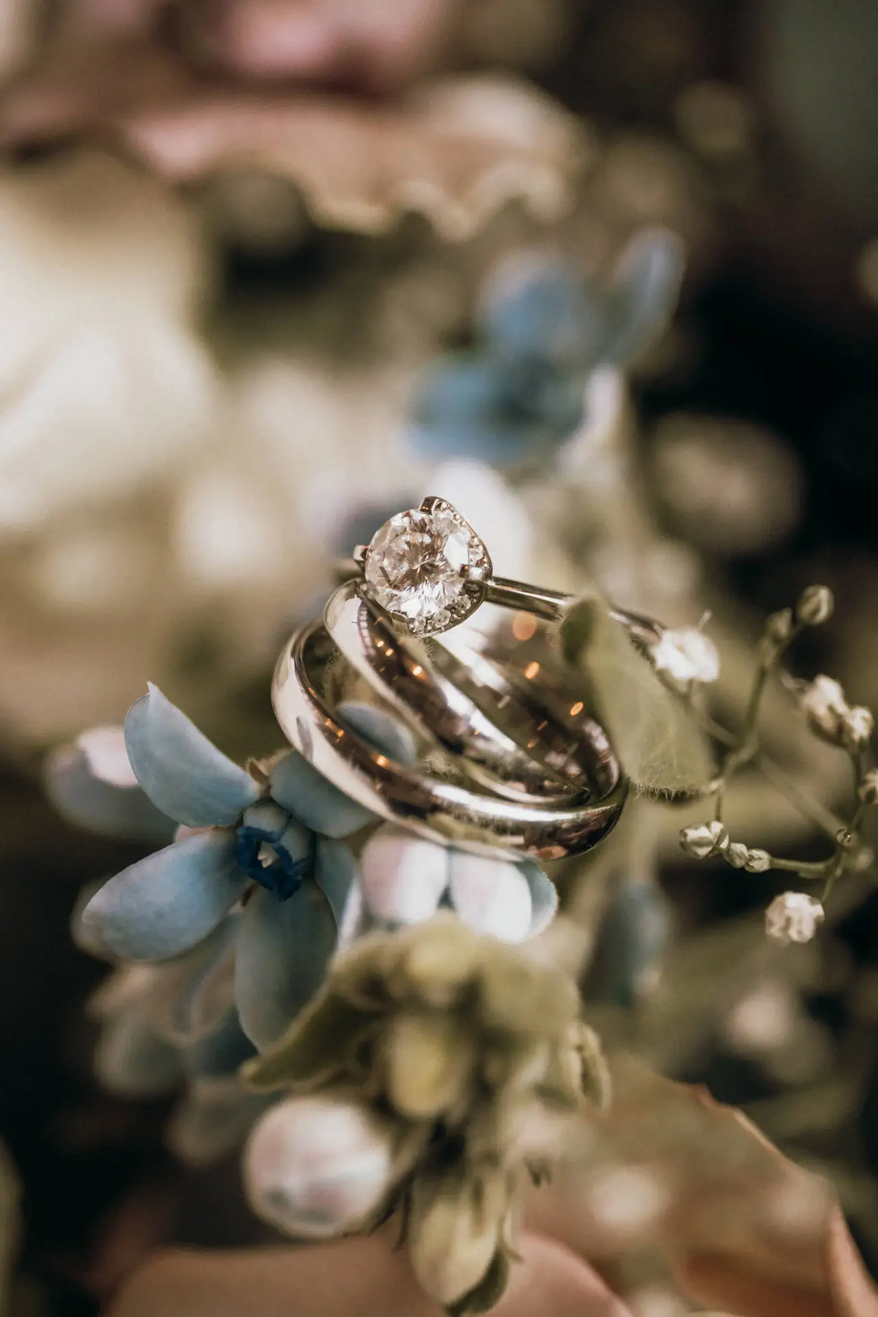 Nahaufnahme von Ringen auf Blumen