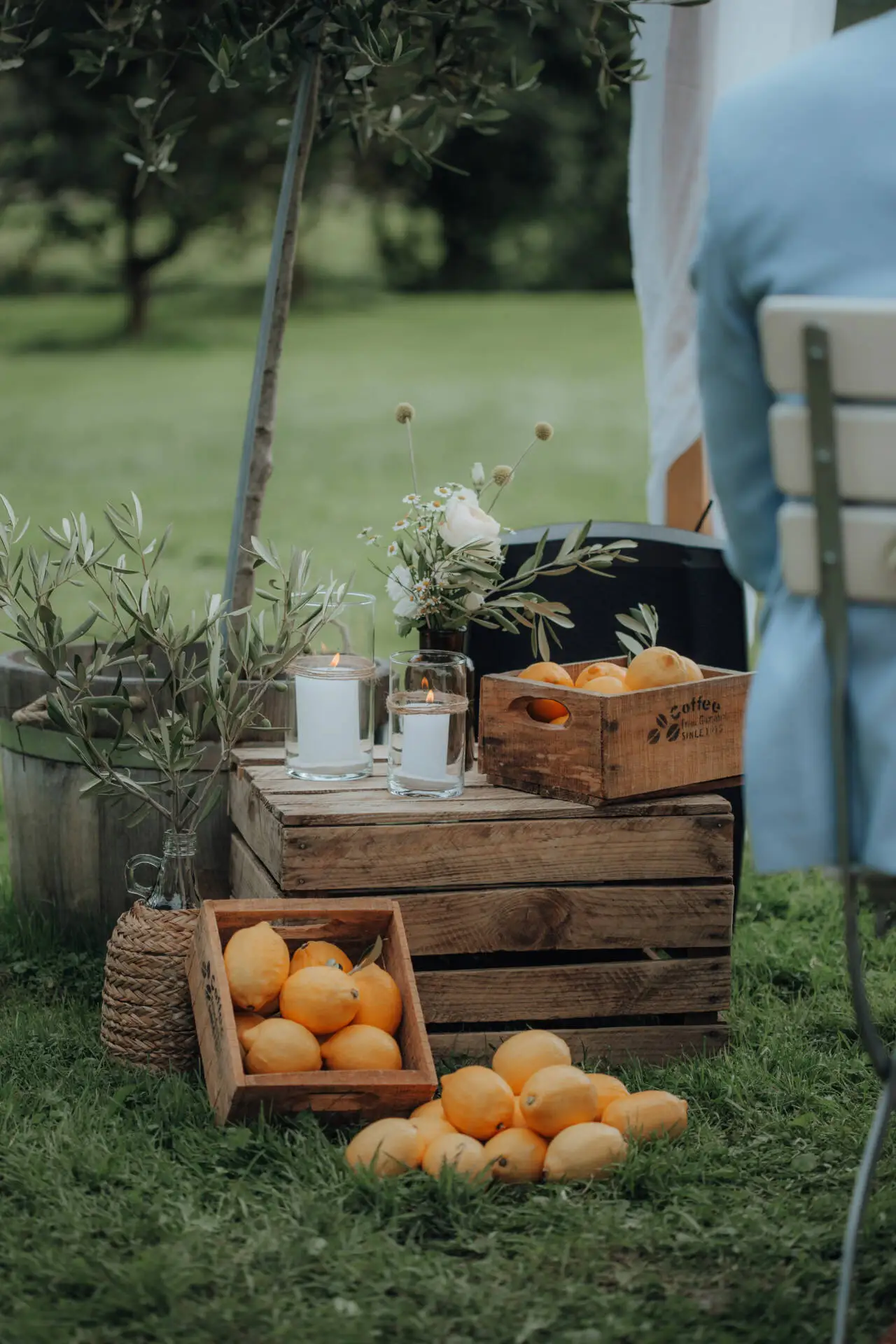 Holzkisten und Zitronen im Garten