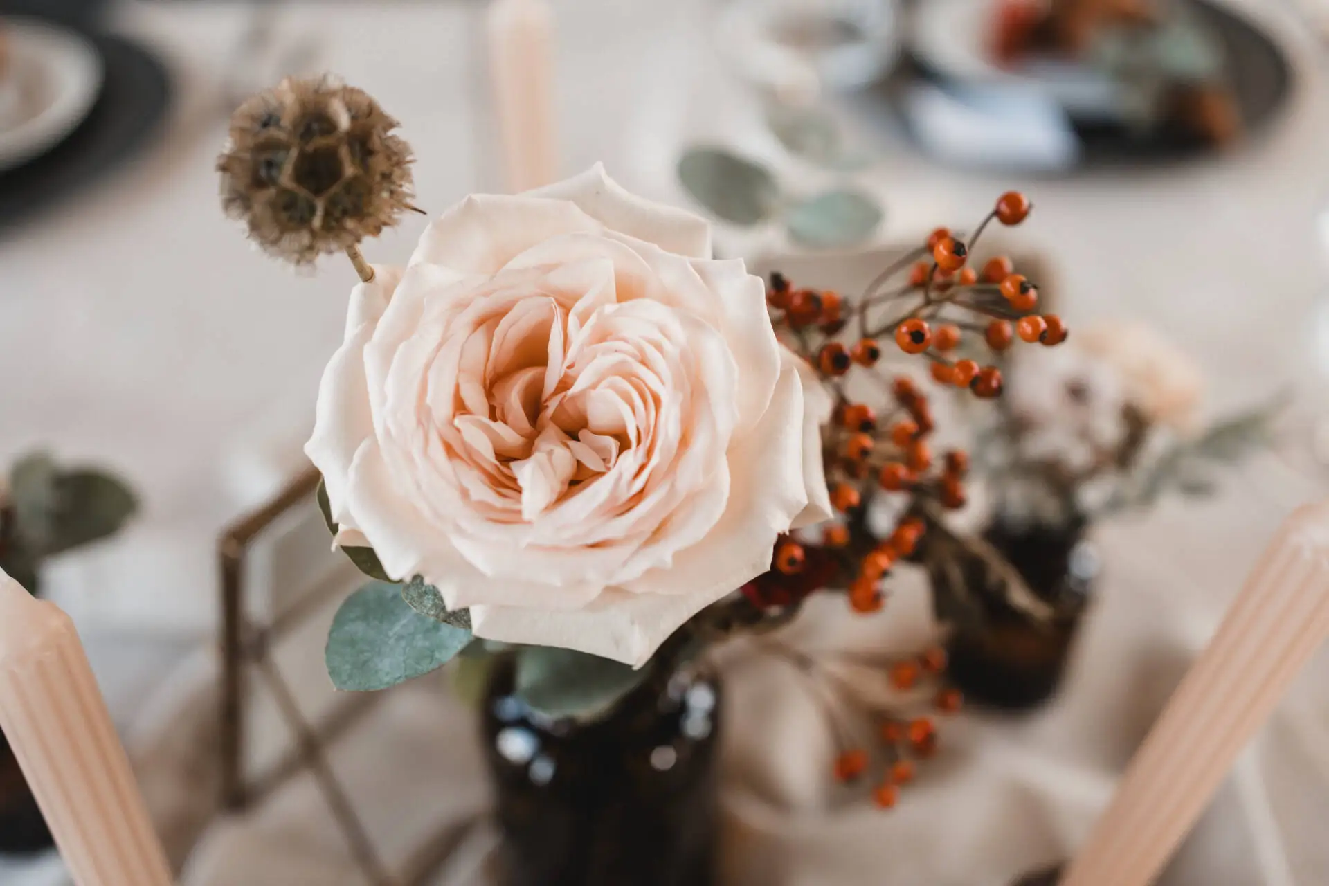 Rosa Blume mit roten Beeren auf Tisch