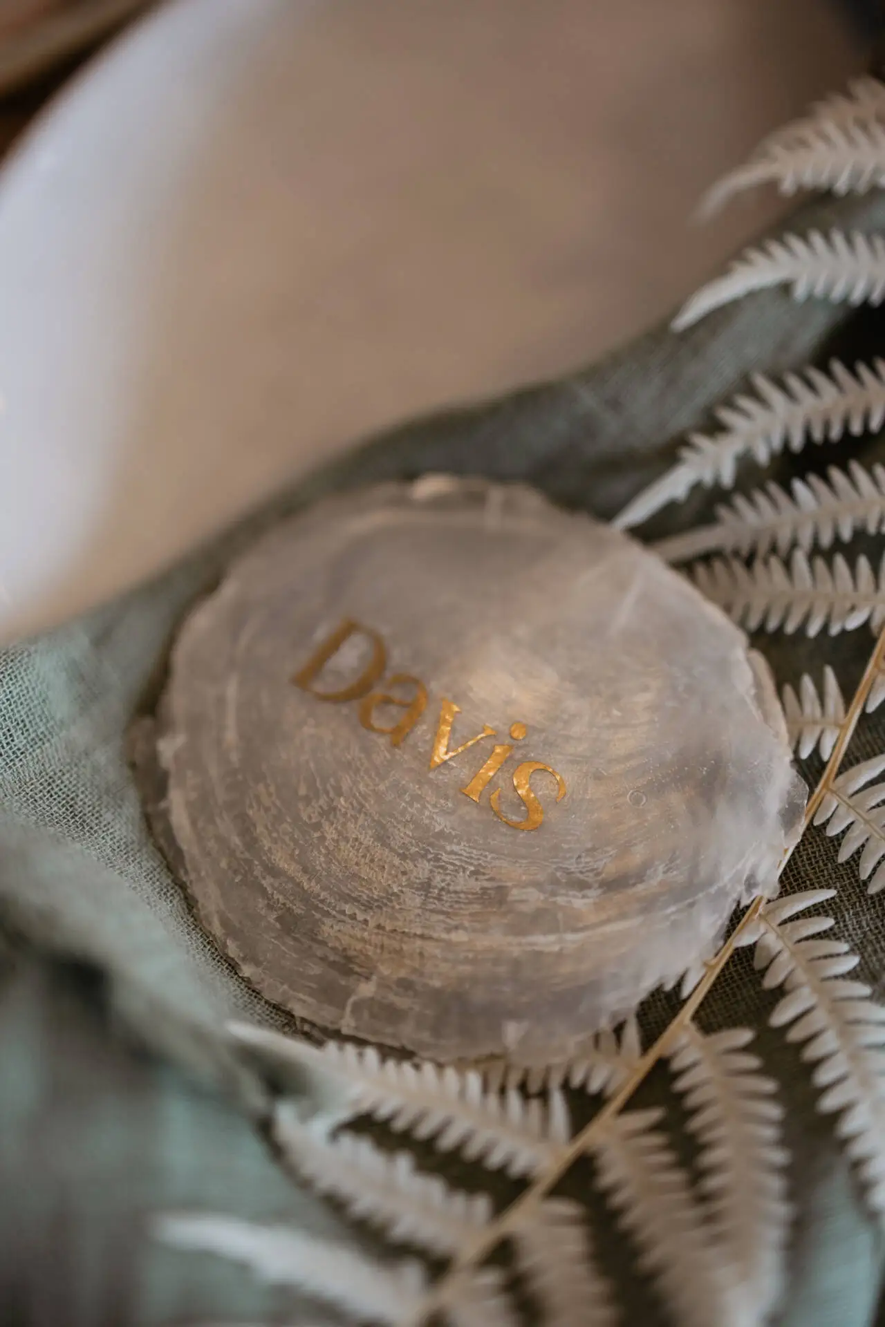Dekorative Muschel mit goldenem Schriftzug 'Davis'.